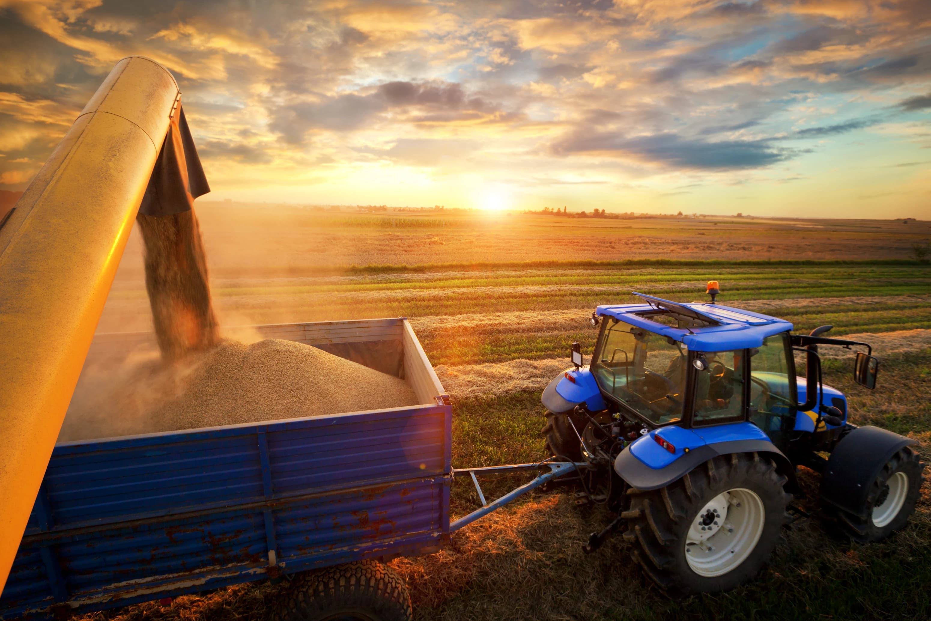 An auger loading a grain cart at sunset on the prairie